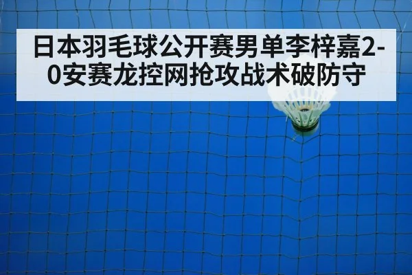 badminton net play