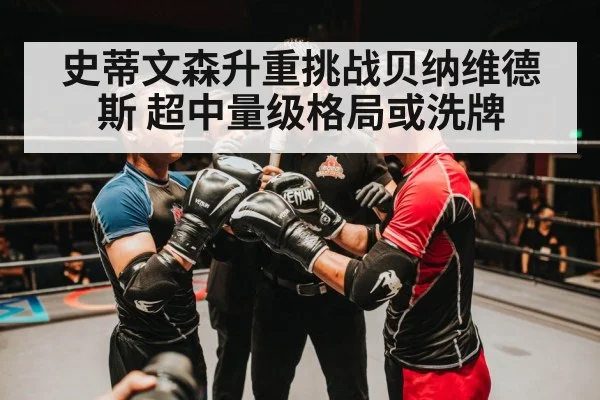 史蒂文森升重挑战贝纳维德斯 超中量级格局或洗牌