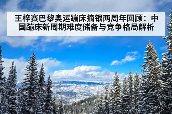 王梓赛巴黎奥运蹦床摘银两周年回顾：中国蹦床新周期难度储备与竞争格局解析